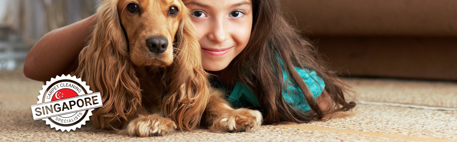 Singapore Carpet Cleaning Specialist